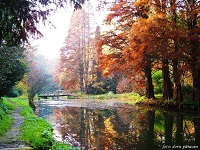 Europe's third largest arboretum at Simeria (Piski) in Hunedoara County houses some 2,160 species of plants. For hundreds of years, it was the property of Transylvanian Hungarian nobility, the last being the Ocskay family.